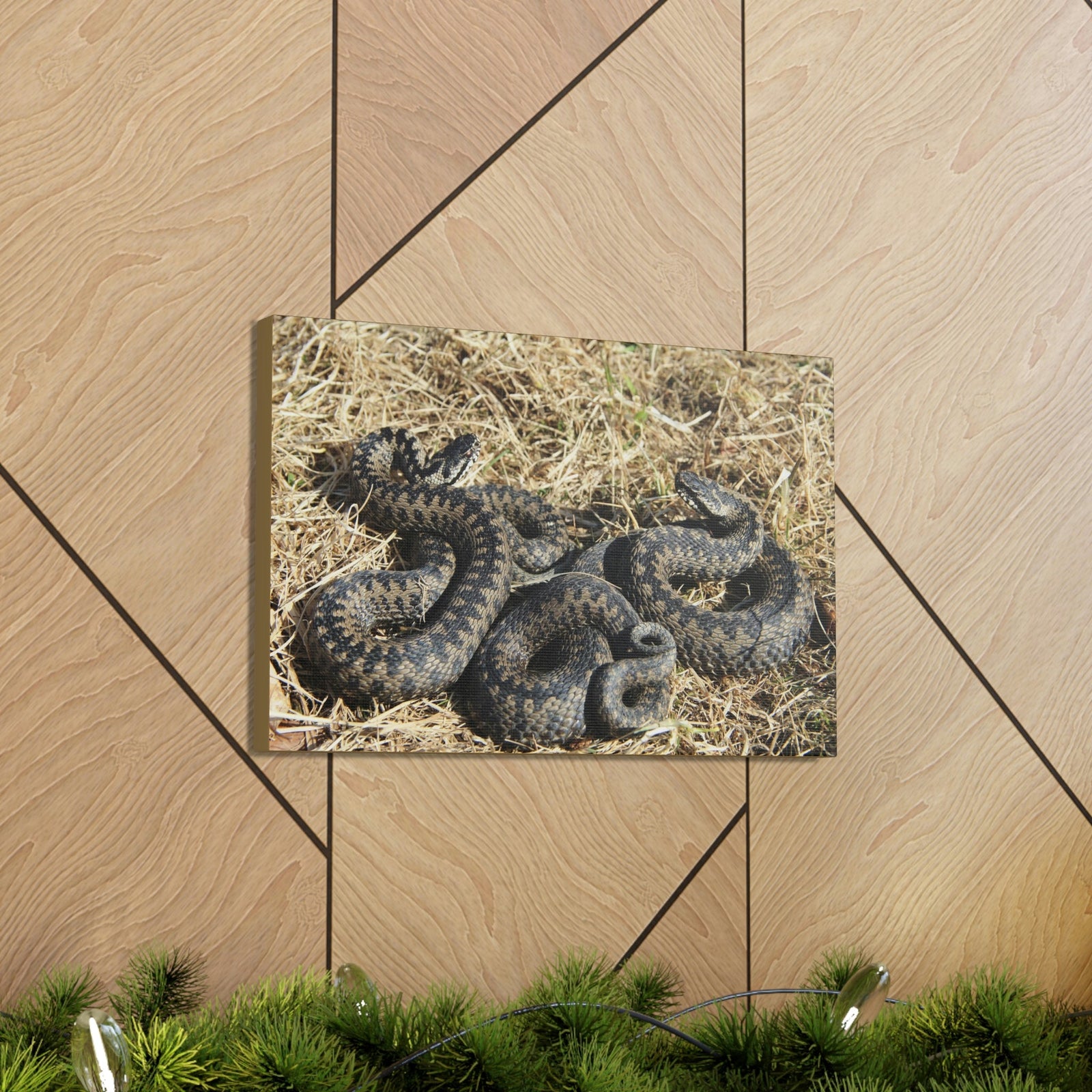 Scripture Walls Snake Couple Snake Couple Print Animal Wall Art Wildlife Canvas Prints Wall Art Ready to Hang Unframed-Express Your Love Gifts
