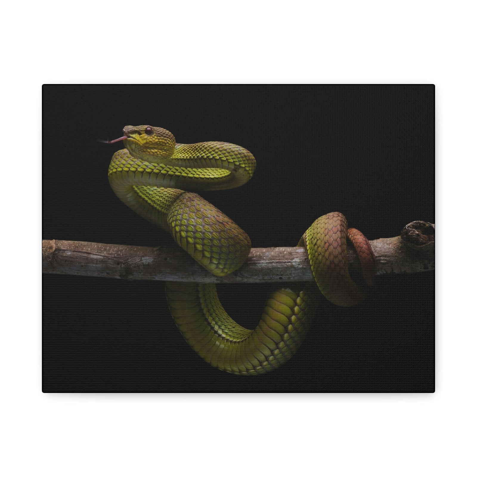 Scripture Walls Snake Hunting Snake on Hunt Print Animal Wall Art Wildlife Canvas Prints Wall Art Ready to Hang Unframed-Express Your Love Gifts
