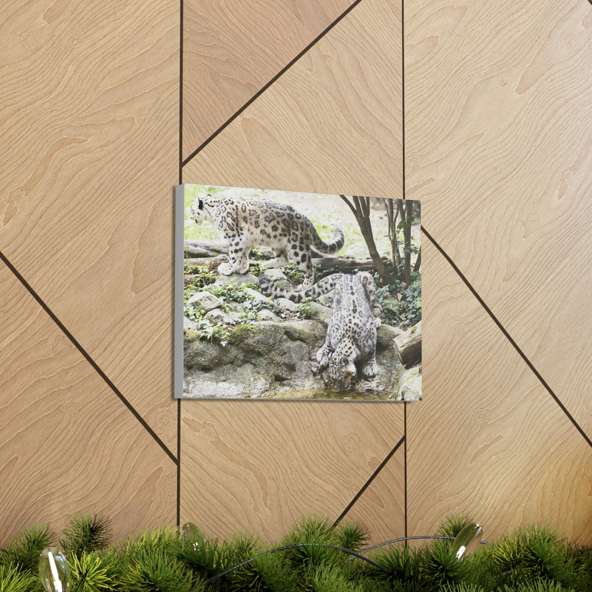 Scripture Walls Snow Leopard Couple Snow Leopard Couple Print Animal Wall Art Wildlife Canvas Prints Wall Art Ready to Hang Unframed-Express Your Love Gifts