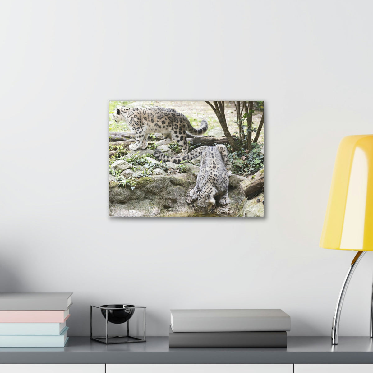 Scripture Walls Snow Leopard Couple Snow Leopard Couple Print Animal Wall Art Wildlife Canvas Prints Wall Art Ready to Hang Unframed-Express Your Love Gifts