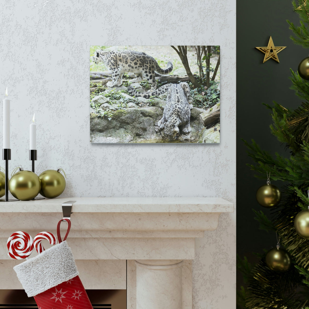 Scripture Walls Snow Leopard Couple Snow Leopard Couple Print Animal Wall Art Wildlife Canvas Prints Wall Art Ready to Hang Unframed-Express Your Love Gifts