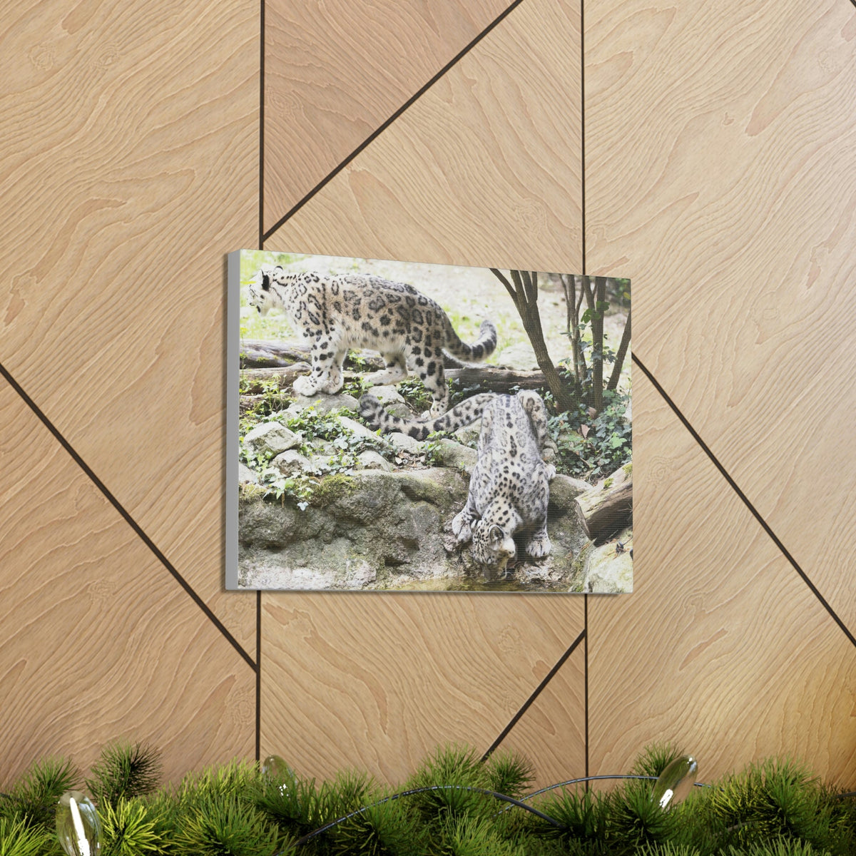 Scripture Walls Snow Leopard Couple Snow Leopard Couple Print Animal Wall Art Wildlife Canvas Prints Wall Art Ready to Hang Unframed-Express Your Love Gifts