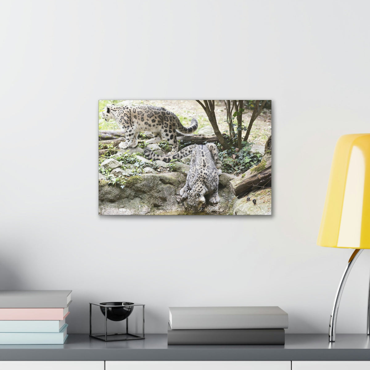 Scripture Walls Snow Leopard Couple Snow Leopard Couple Print Animal Wall Art Wildlife Canvas Prints Wall Art Ready to Hang Unframed-Express Your Love Gifts