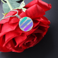 Solana (SOL) Circle Necklace Stainless Steel or 18k Gold 18-22"-Express Your Love Gifts