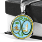 South Carolina State Seal Necklace Circle Pendant Stainless Steel or 18k Gold 18-22"-Express Your Love Gifts
