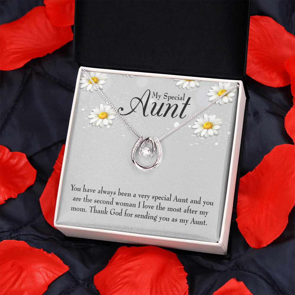 Special Aunt Lucky Horseshoe Necklace Message Card 14k w CZ Crystals-Express Your Love Gifts