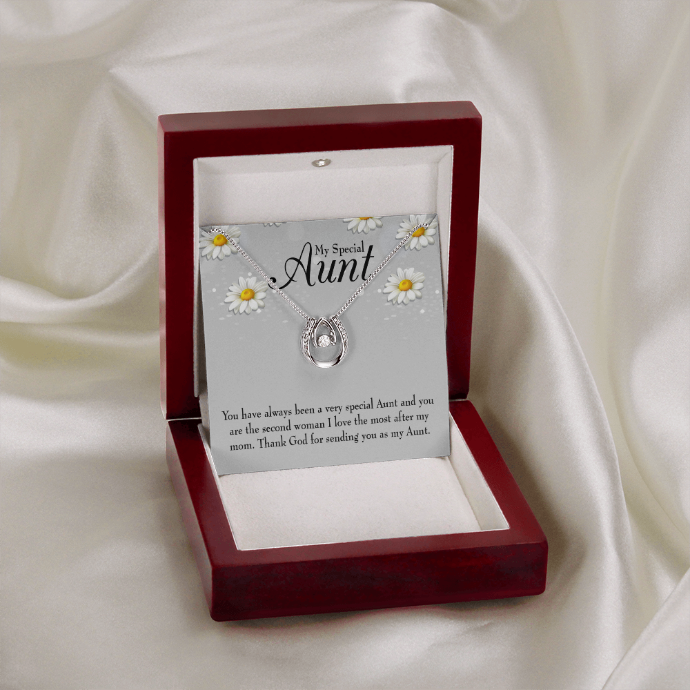 Special Aunt Lucky Horseshoe Necklace Message Card 14k w CZ Crystals-Express Your Love Gifts