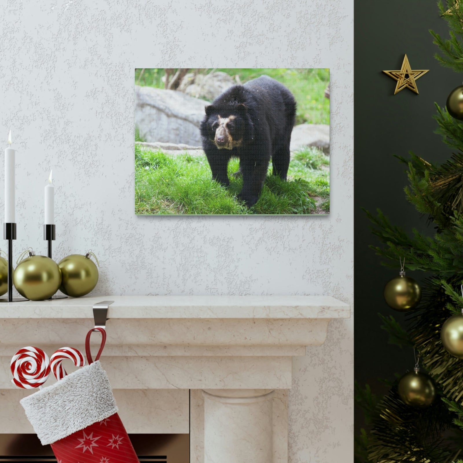 Scripture Walls Spectacled Bear Hunting Spectacled Bear on Hunt Print Animal Wall Art Wildlife Canvas Prints Wall Art Ready to Hang Unframed-Express Your Love Gifts