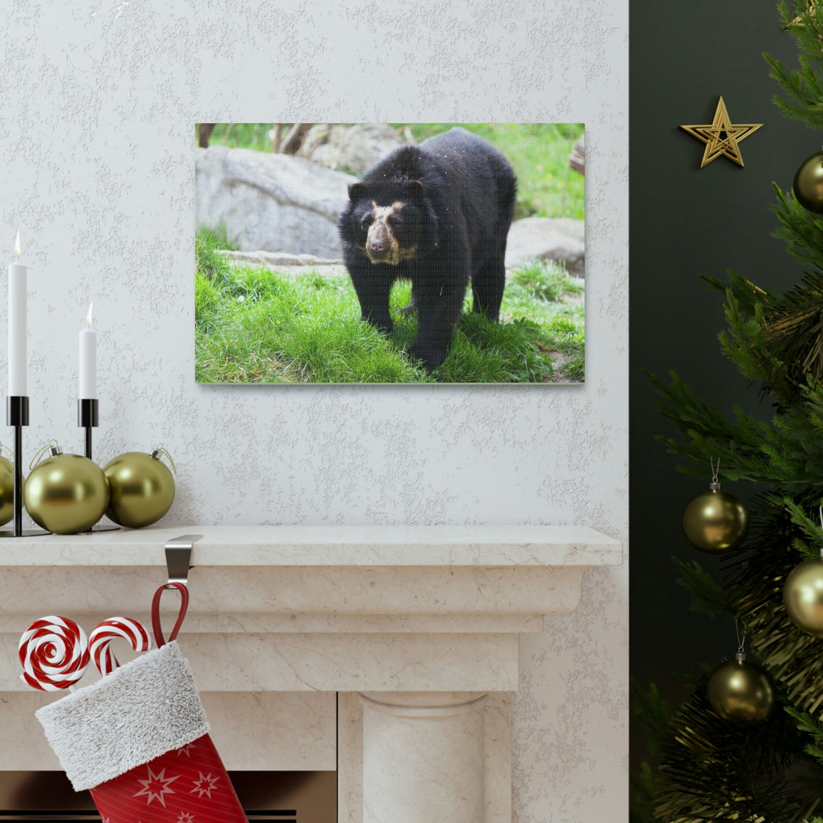 Scripture Walls Spectacled Bear Hunting Spectacled Bear on Hunt Print Animal Wall Art Wildlife Canvas Prints Wall Art Ready to Hang Unframed-Express Your Love Gifts