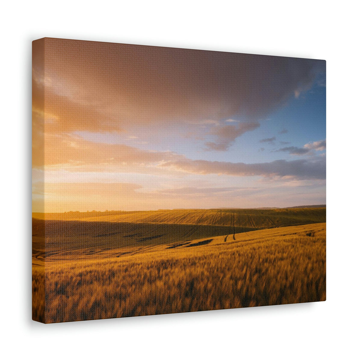 Splendid Agricultural Land in the Evening Scene Beautiful Captivating and Awesome Field Beauty Nature Scene Sunset on the Farm Wall Art Ready to Hang Unframed-Express Your Love Gifts