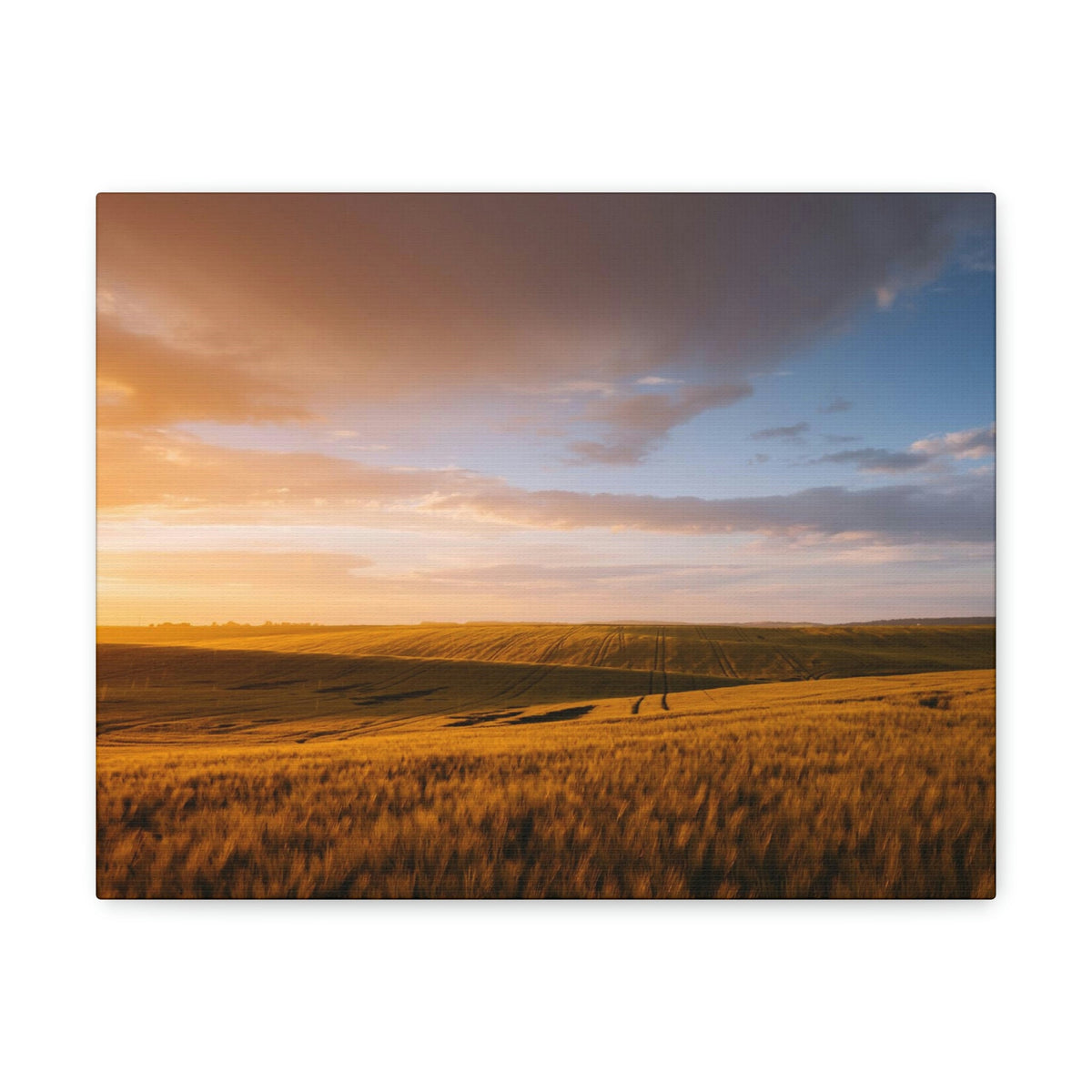 Splendid Agricultural Land in the Evening Scene Beautiful Captivating and Awesome Field Beauty Nature Scene Sunset on the Farm Wall Art Ready to Hang Unframed-Express Your Love Gifts