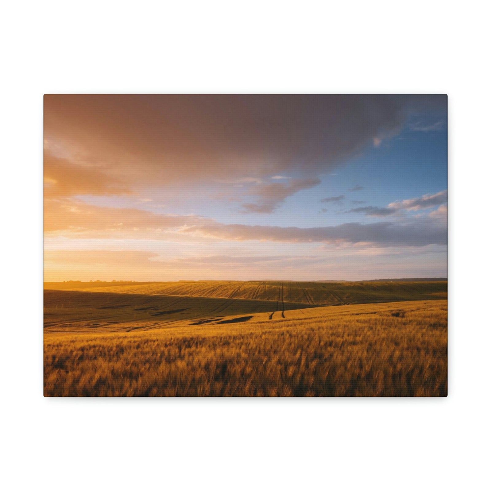 Splendid Agricultural Land in the Evening Scene Beautiful Captivating and Awesome Field Beauty Nature Scene Sunset on the Farm Wall Art Ready to Hang Unframed-Express Your Love Gifts