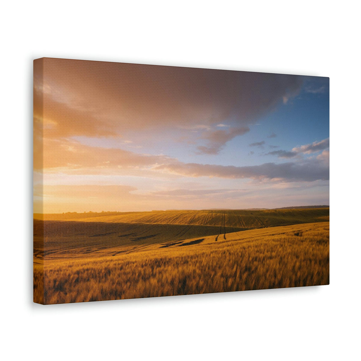 Splendid Agricultural Land in the Evening Scene Beautiful Captivating and Awesome Field Beauty Nature Scene Sunset on the Farm Wall Art Ready to Hang Unframed-Express Your Love Gifts