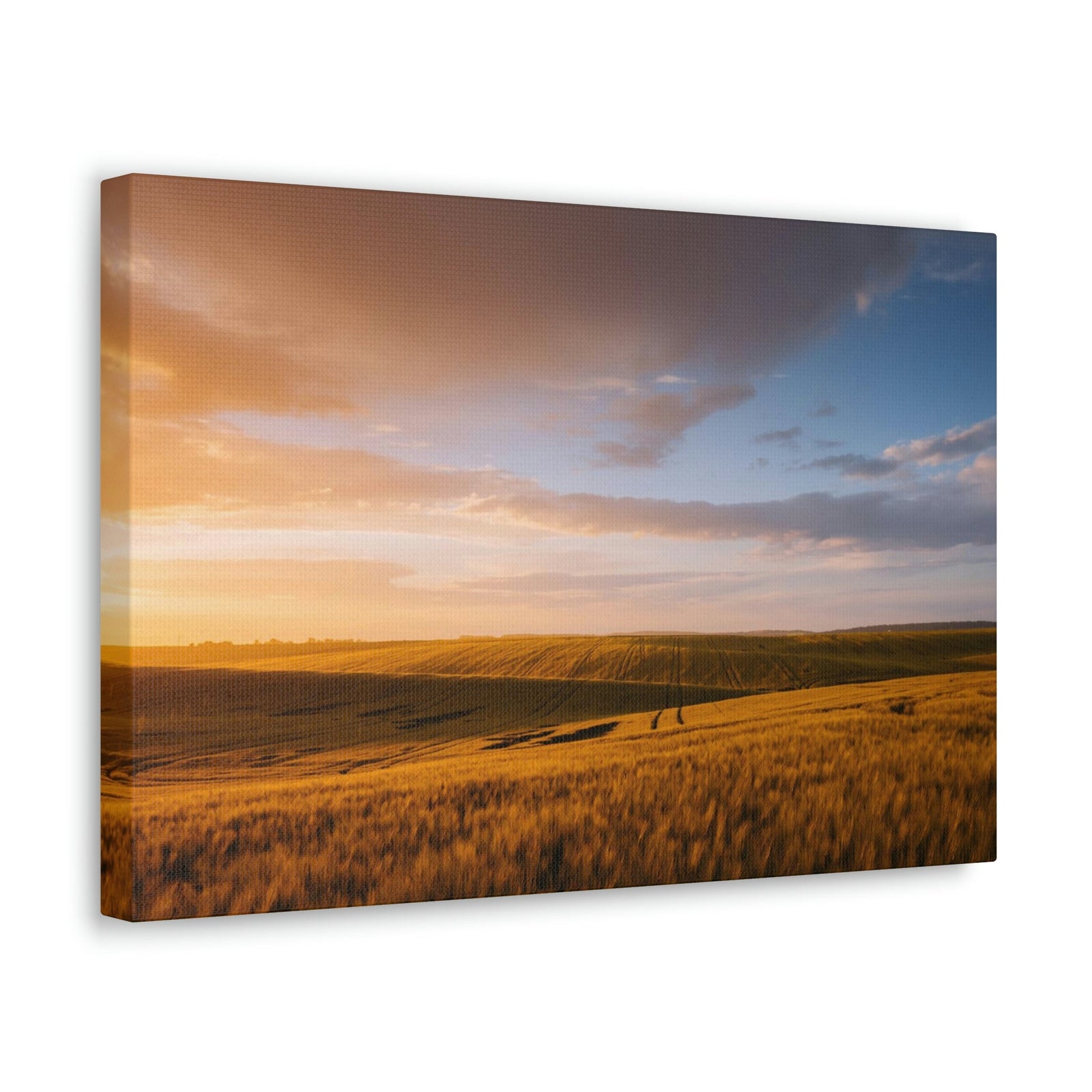 Splendid Agricultural Land in the Evening Scene Beautiful Captivating and Awesome Field Beauty Nature Scene Sunset on the Farm Wall Art Ready to Hang Unframed-Express Your Love Gifts