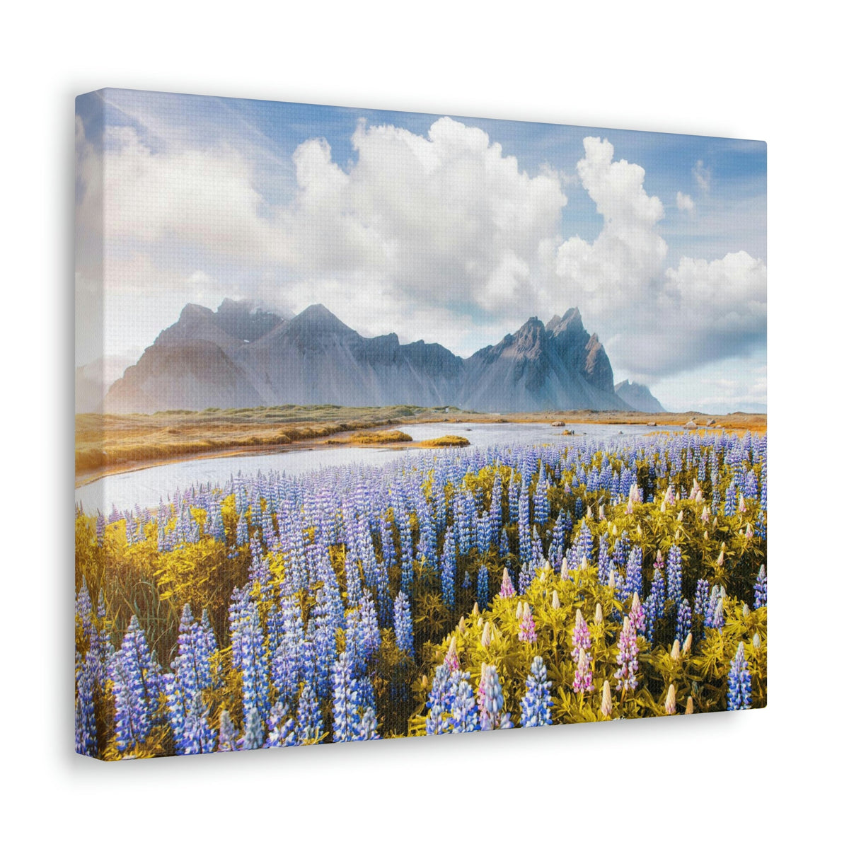 Splendid Lupine Flower on Sunny Day Scene Beautiful Surprising and Shocking Beauty Nature Scene View of Mountain in Flower Garden Wall Art Ready to Hang Unframed-Express Your Love Gifts
