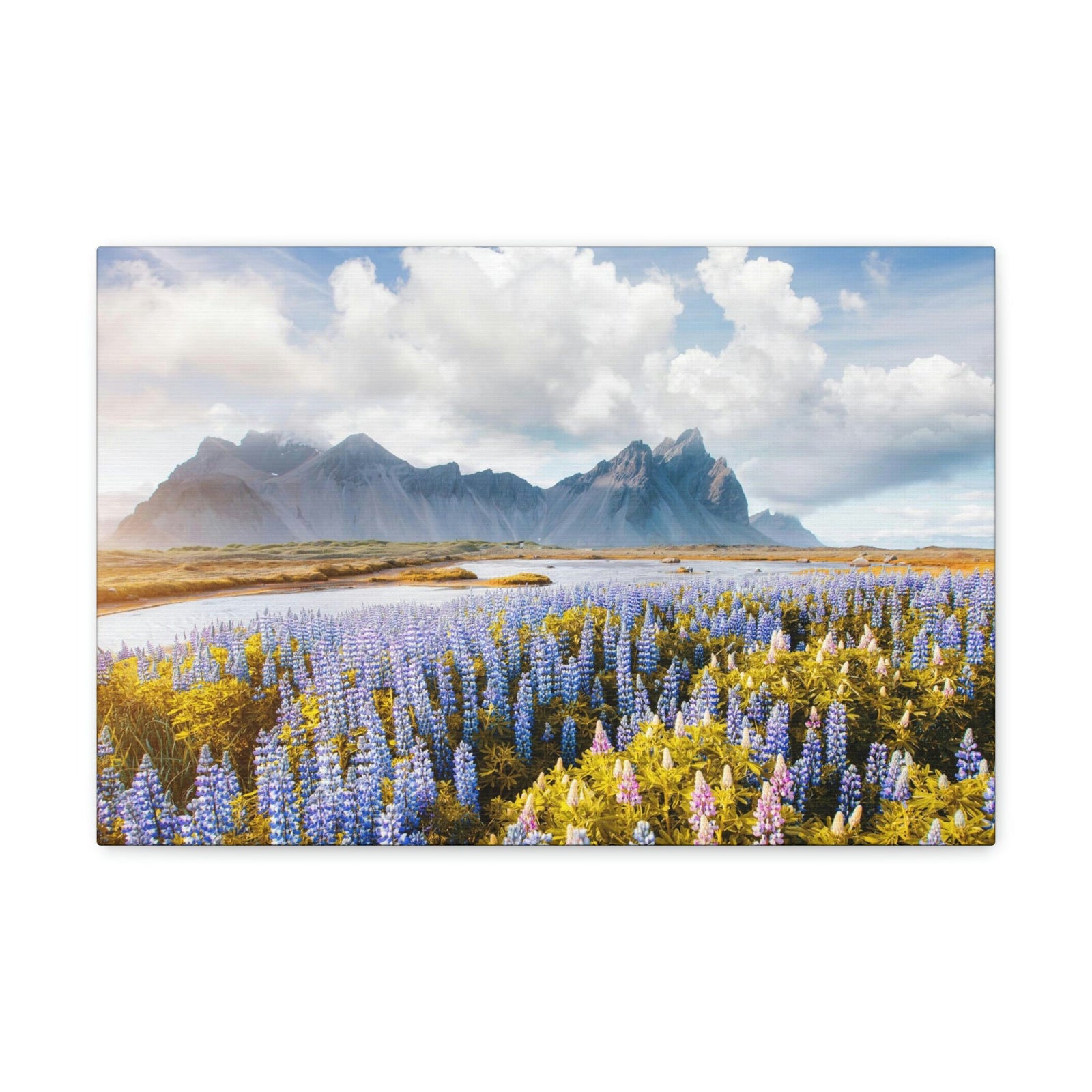 Splendid Lupine Flower on Sunny Day Scene Beautiful Surprising and Shocking Beauty Nature Scene View of Mountain in Flower Garden Wall Art Ready to Hang Unframed-Express Your Love Gifts