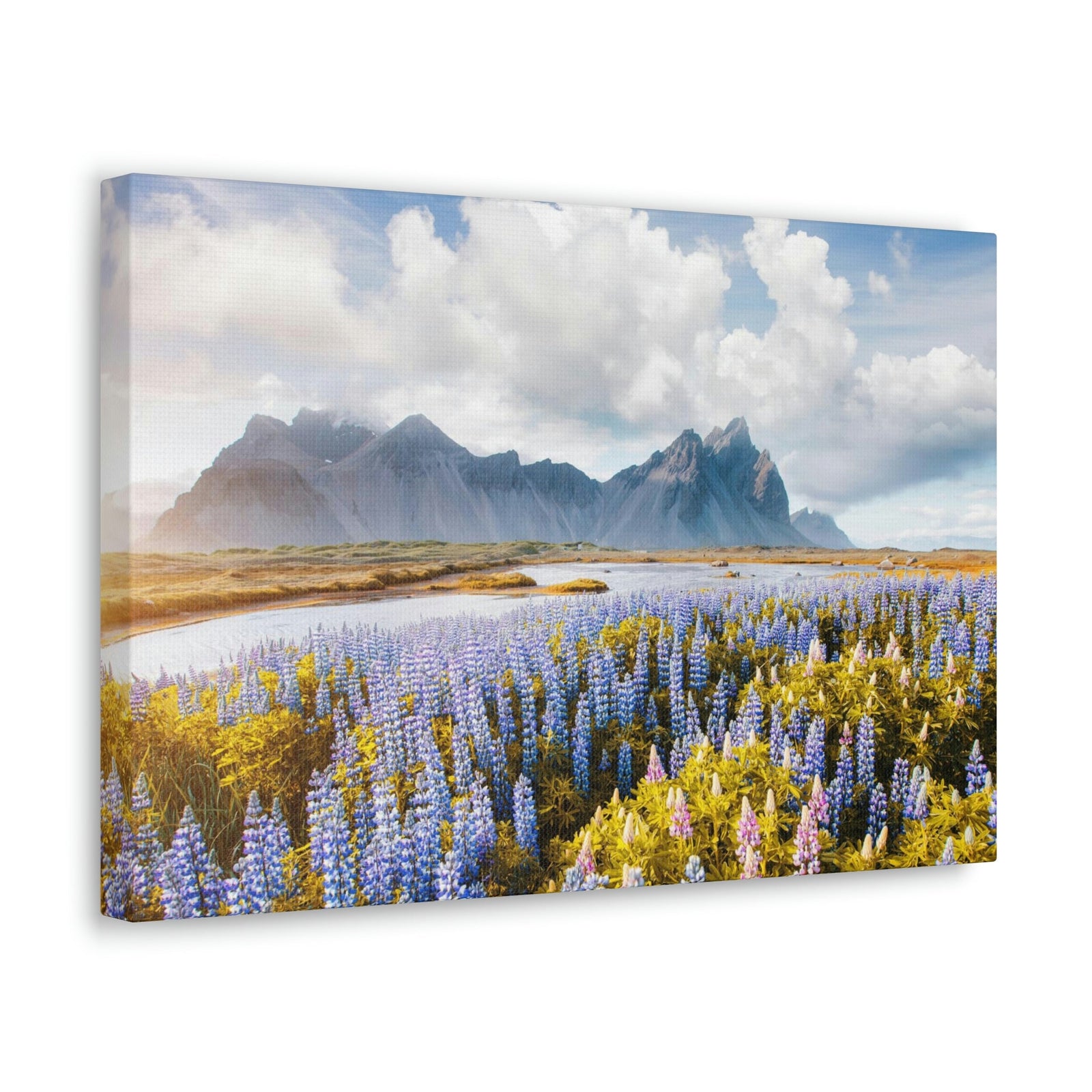 Splendid Lupine Flower on Sunny Day Scene Beautiful Surprising and Shocking Beauty Nature Scene View of Mountain in Flower Garden Wall Art Ready to Hang Unframed-Express Your Love Gifts