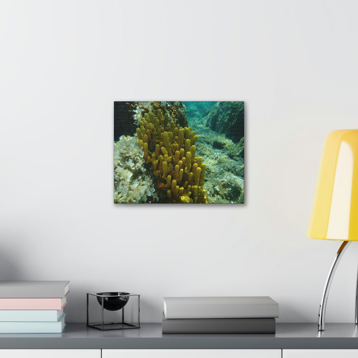Scripture Walls Sponge Group Sponge Troop Print Animal Wall Art Wildlife Canvas Prints Wall Art Ready to Hang Unframed-Express Your Love Gifts
