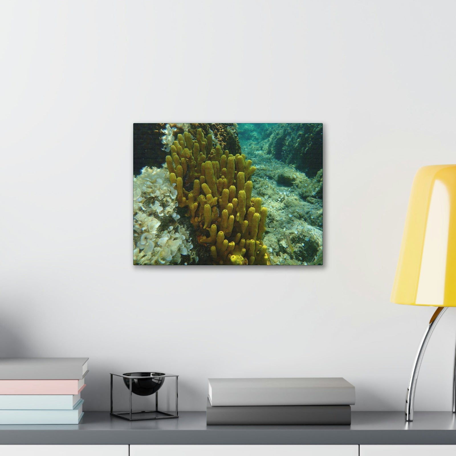 Scripture Walls Sponge Group Sponge Troop Print Animal Wall Art Wildlife Canvas Prints Wall Art Ready to Hang Unframed-Express Your Love Gifts