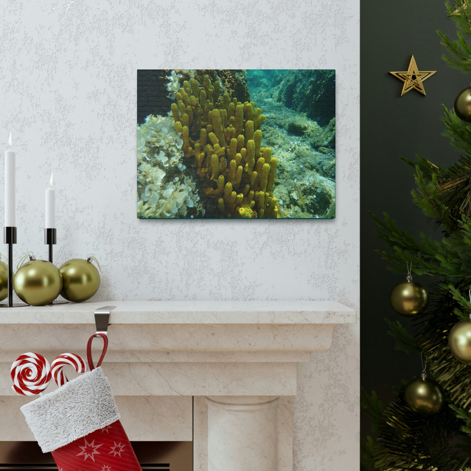 Scripture Walls Sponge Group Sponge Troop Print Animal Wall Art Wildlife Canvas Prints Wall Art Ready to Hang Unframed-Express Your Love Gifts