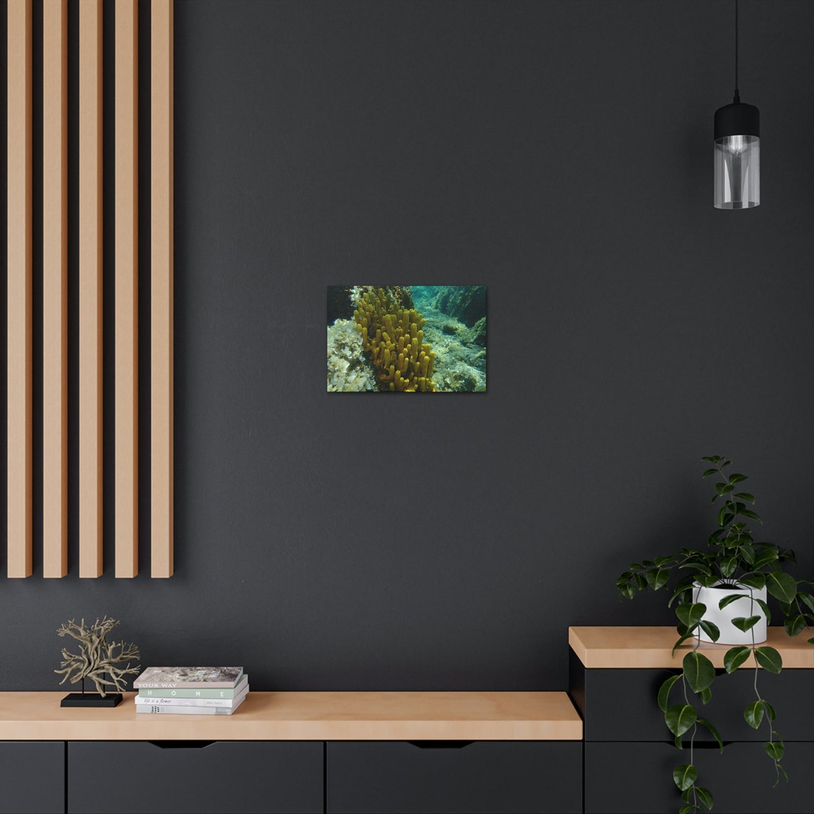 Scripture Walls Sponge Group Sponge Troop Print Animal Wall Art Wildlife Canvas Prints Wall Art Ready to Hang Unframed-Express Your Love Gifts