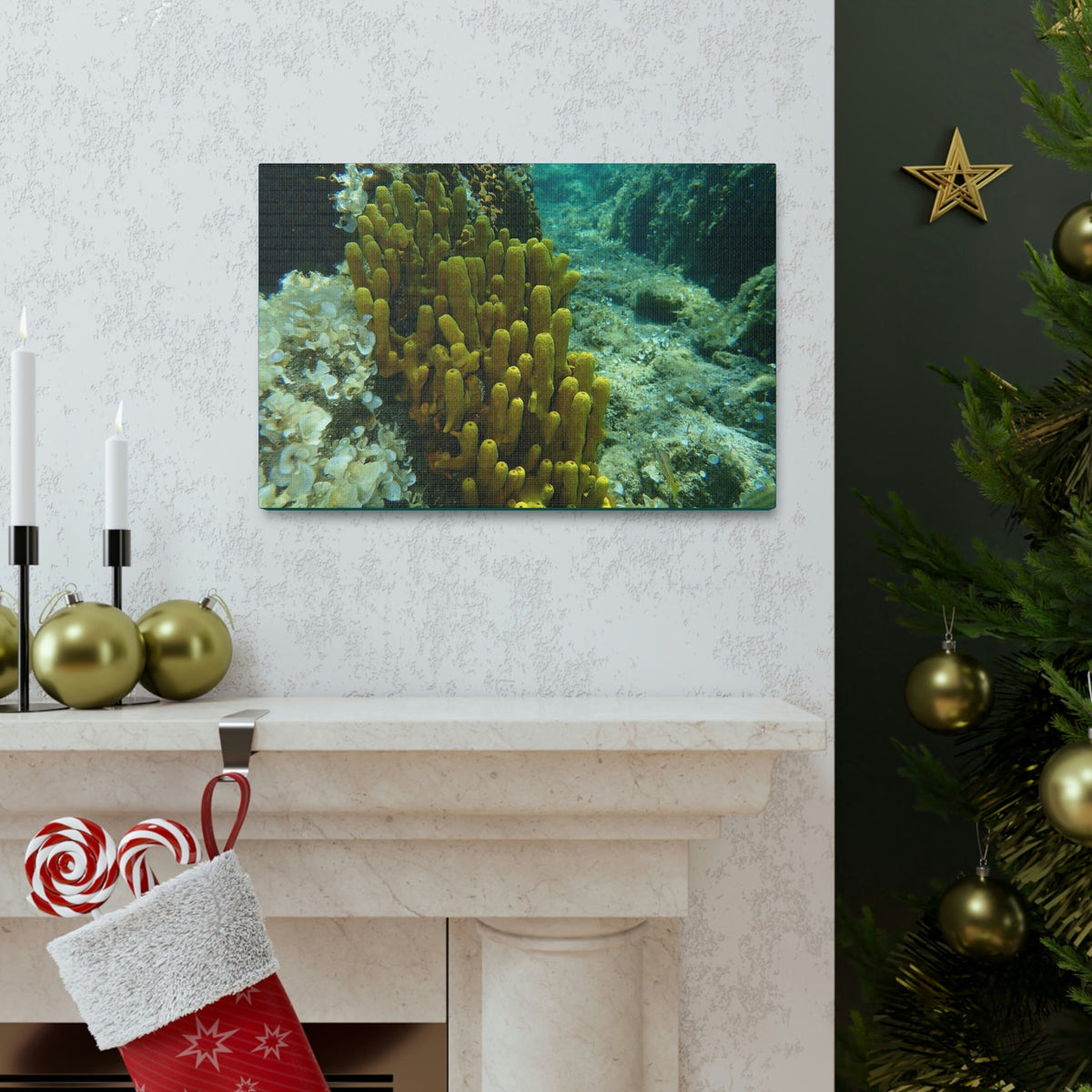 Scripture Walls Sponge Group Sponge Troop Print Animal Wall Art Wildlife Canvas Prints Wall Art Ready to Hang Unframed-Express Your Love Gifts