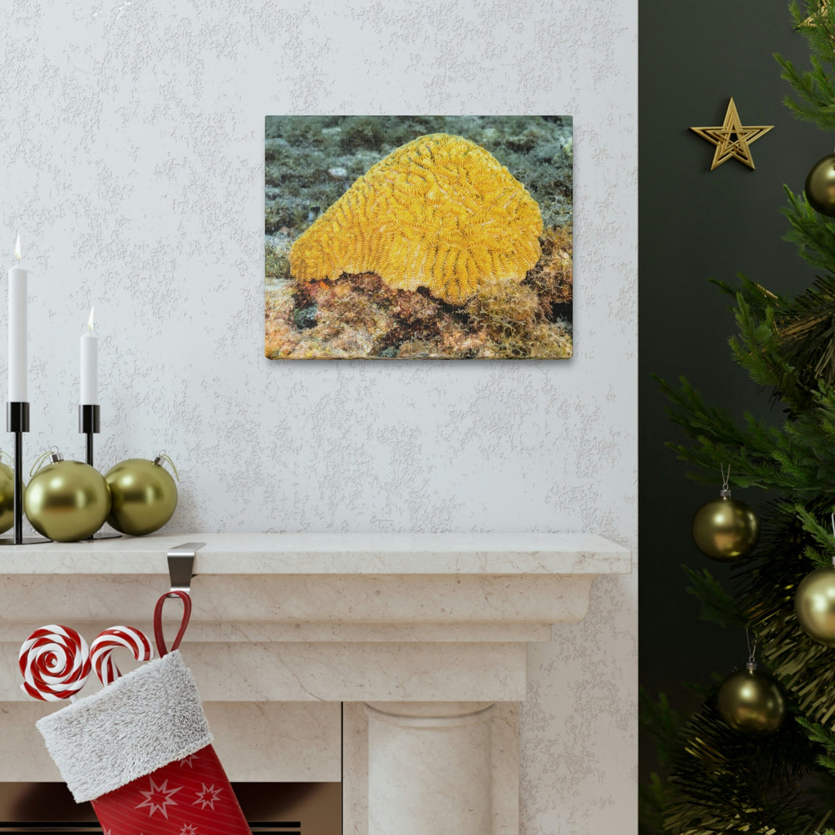 Scripture Walls Sponge Hunting Sponge on Hunt Print Animal Wall Art Wildlife Canvas Prints Wall Art Ready to Hang Unframed-Express Your Love Gifts