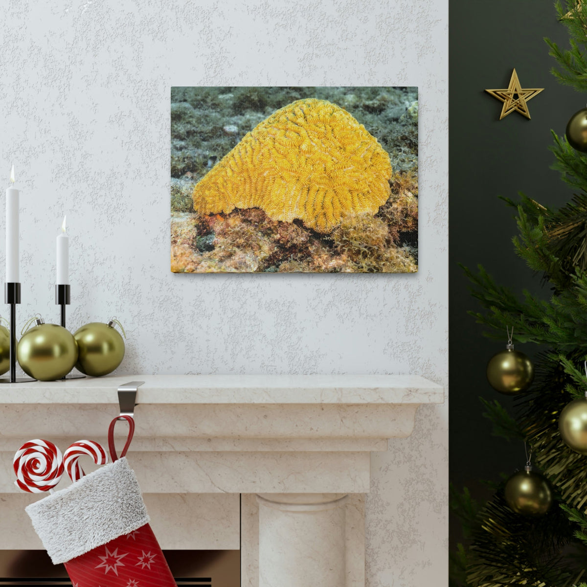 Scripture Walls Sponge Hunting Sponge on Hunt Print Animal Wall Art Wildlife Canvas Prints Wall Art Ready to Hang Unframed-Express Your Love Gifts