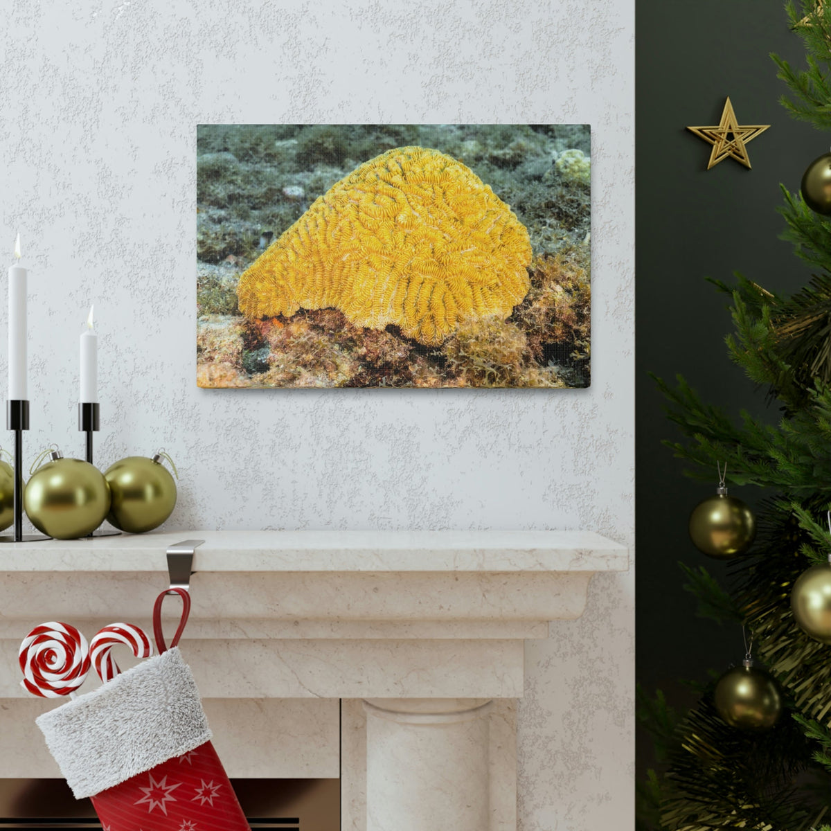 Scripture Walls Sponge Hunting Sponge on Hunt Print Animal Wall Art Wildlife Canvas Prints Wall Art Ready to Hang Unframed-Express Your Love Gifts