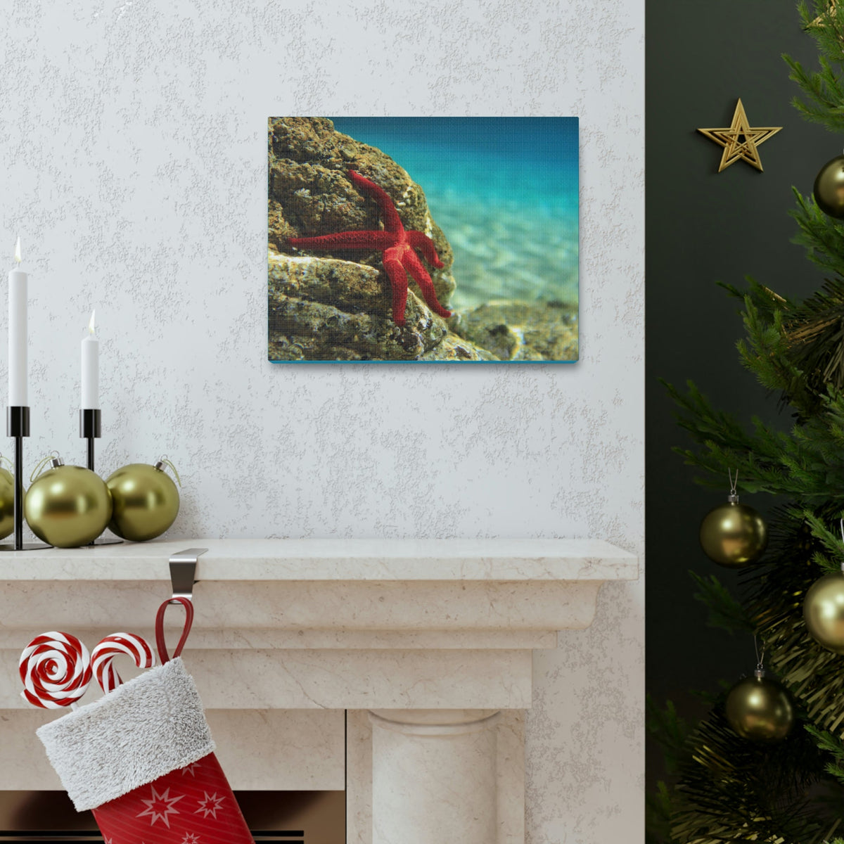Scripture Walls Starfish Hunting Starfish on Hunt Print Animal Wall Art Wildlife Canvas Prints Wall Art Ready to Hang Unframed-Express Your Love Gifts