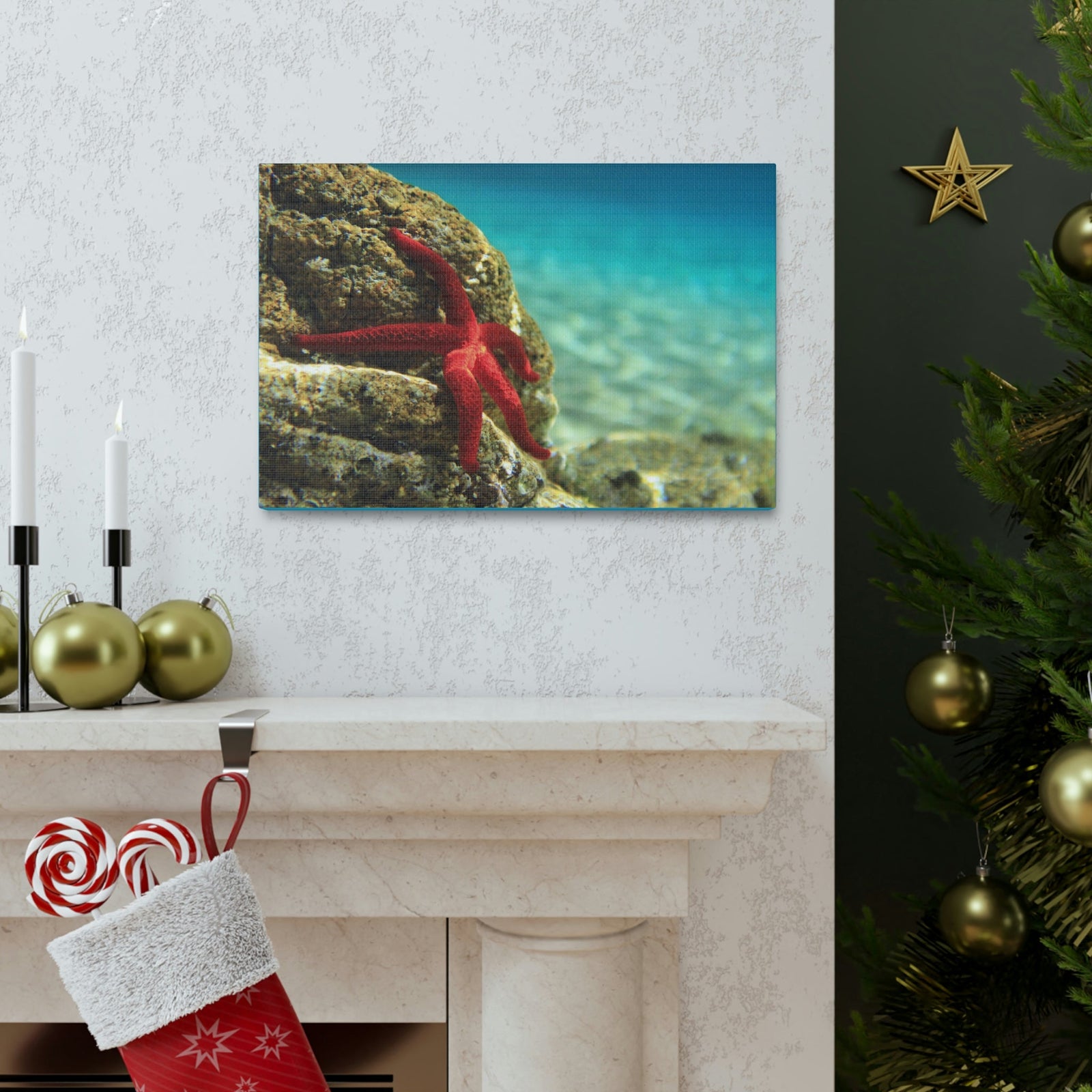 Scripture Walls Starfish Hunting Starfish on Hunt Print Animal Wall Art Wildlife Canvas Prints Wall Art Ready to Hang Unframed-Express Your Love Gifts