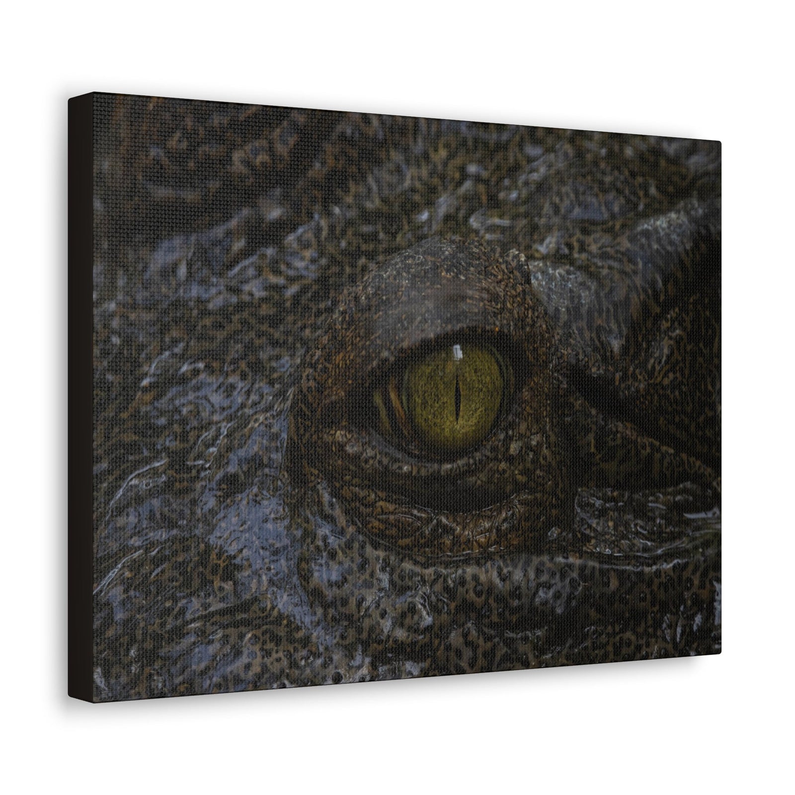 Staring Alligator Canvas Gallery Wraps Unframed-Express Your Love Gifts
