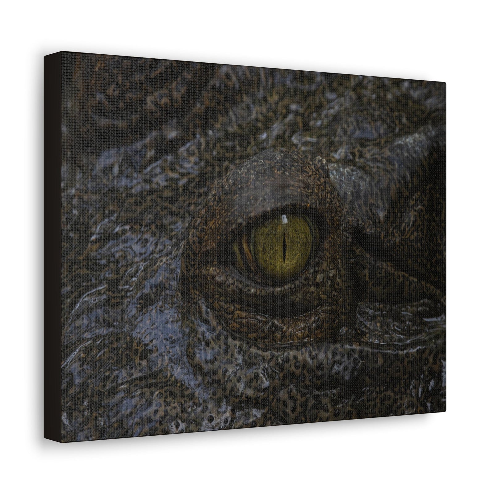 Staring Alligator Canvas Gallery Wraps Unframed-Express Your Love Gifts