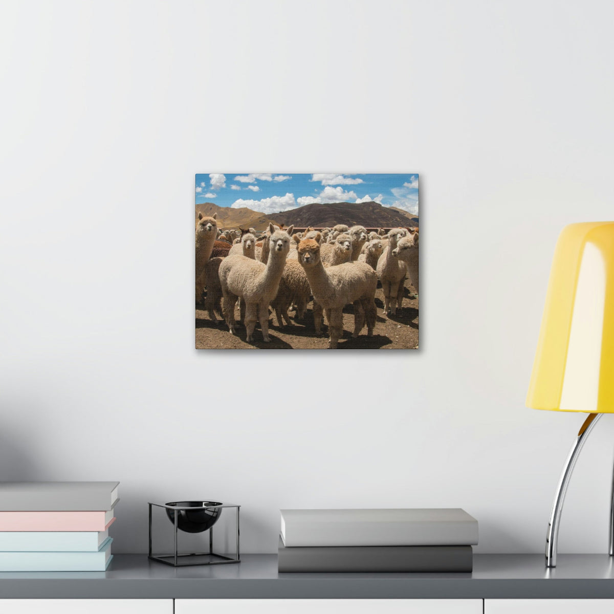 Staring Herd Of Alpaca Say Cheese Alpaca Outside Wall Art Ready To Hang Unframed-Express Your Love Gifts