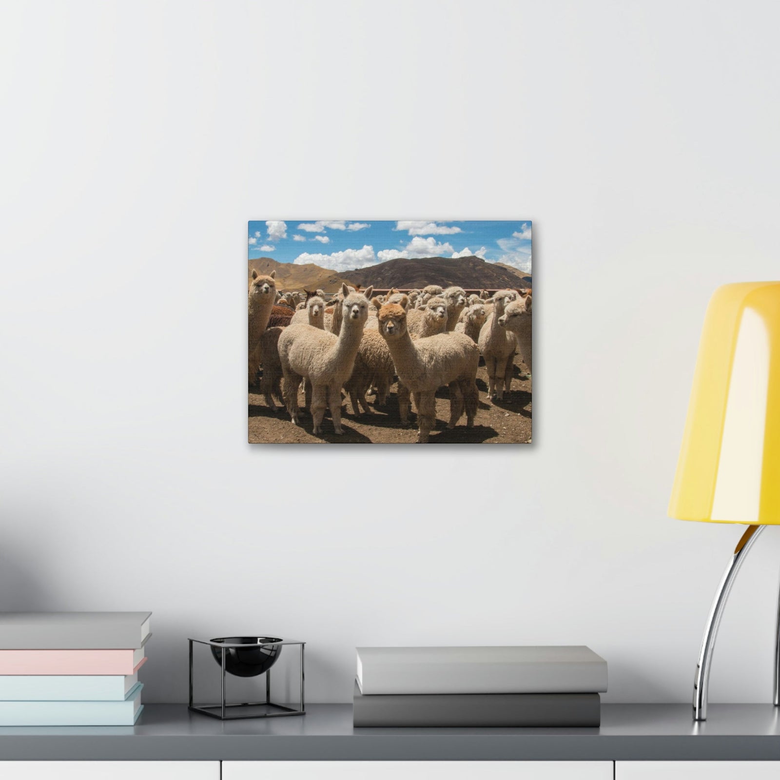 Staring Herd Of Alpaca Say Cheese Alpaca Outside Wall Art Ready To Hang Unframed-Express Your Love Gifts