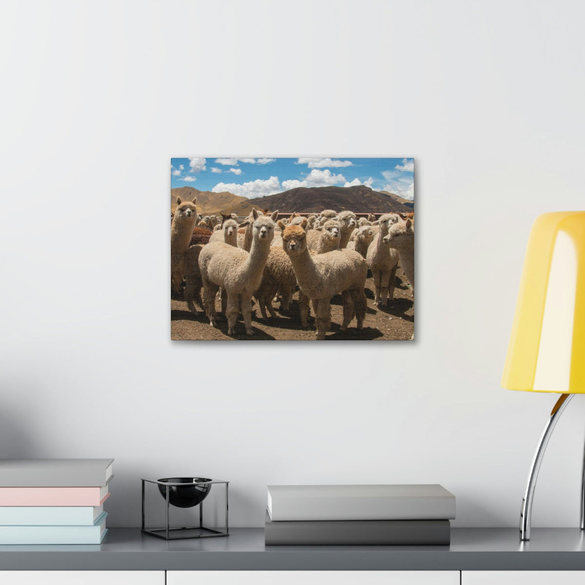Staring Herd Of Alpaca Say Cheese Alpaca Outside Wall Art Ready To Hang Unframed-Express Your Love Gifts