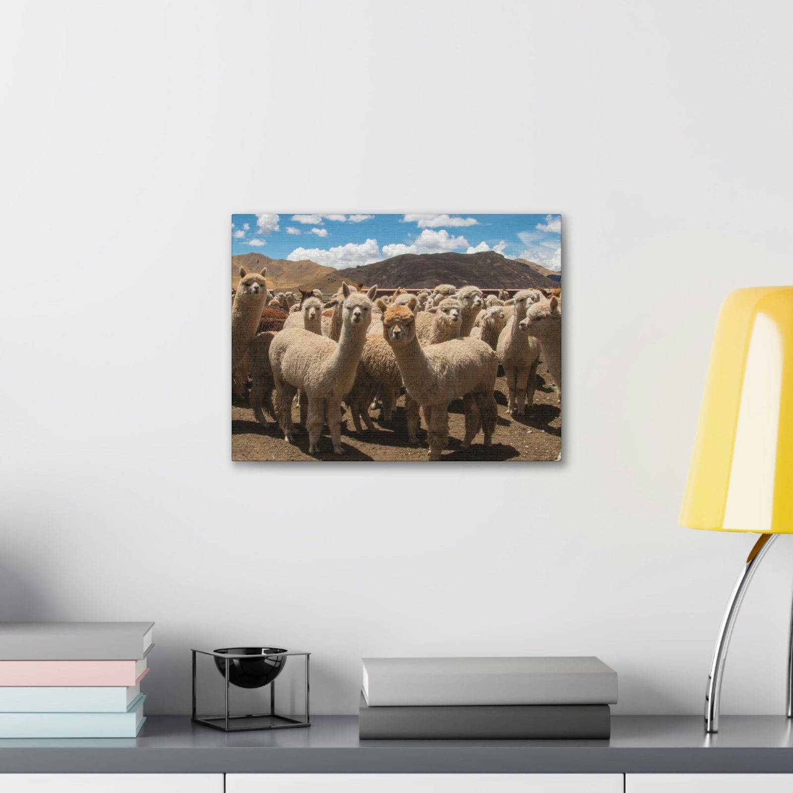 Staring Herd Of Alpaca Say Cheese Alpaca Outside Wall Art Ready To Hang Unframed-Express Your Love Gifts