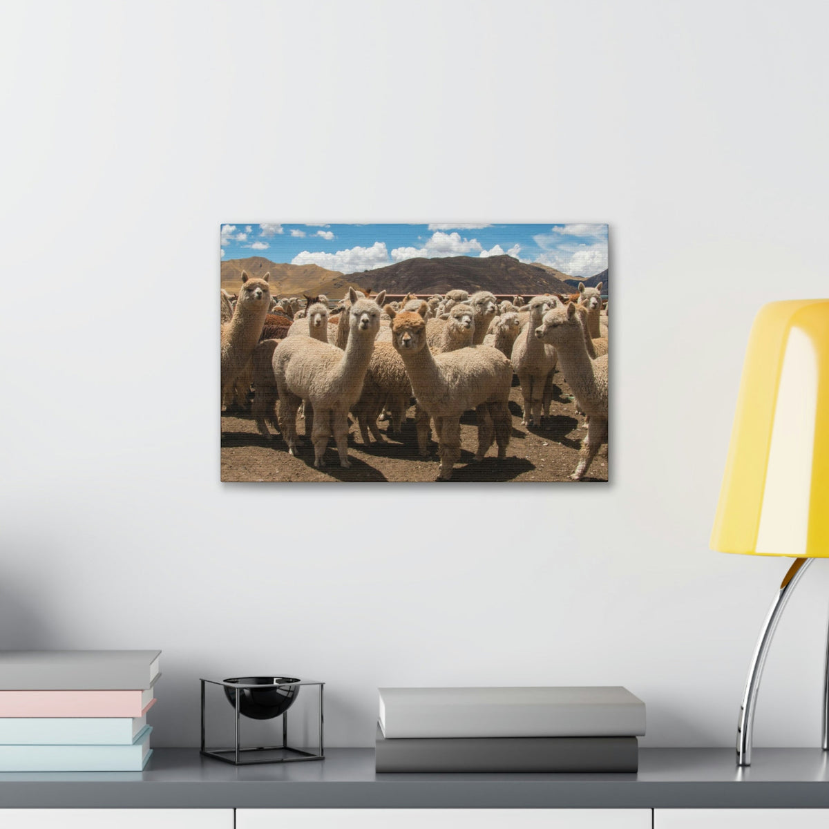 Staring Herd Of Alpaca Say Cheese Alpaca Outside Wall Art Ready To Hang Unframed-Express Your Love Gifts