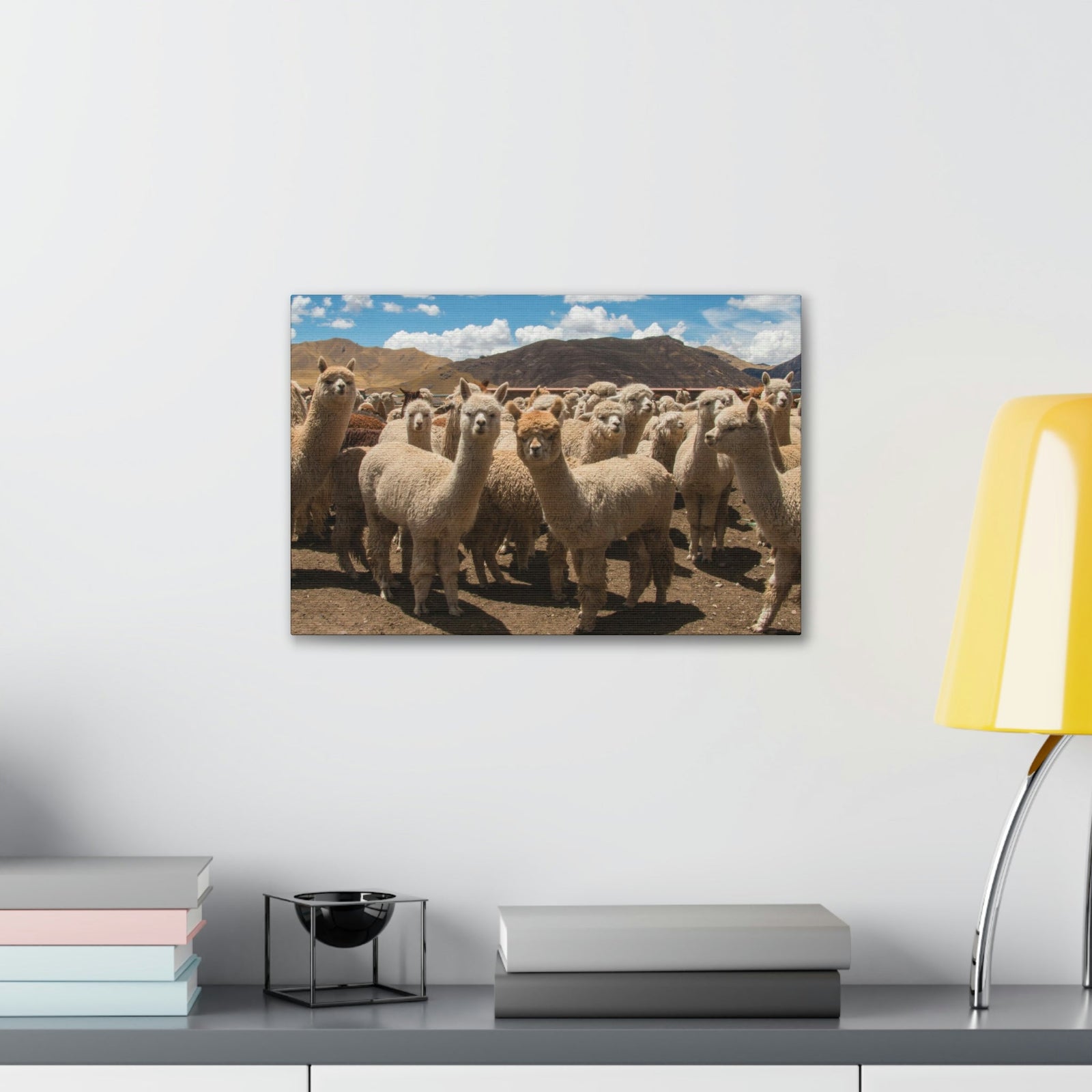 Staring Herd Of Alpaca Say Cheese Alpaca Outside Wall Art Ready To Hang Unframed-Express Your Love Gifts