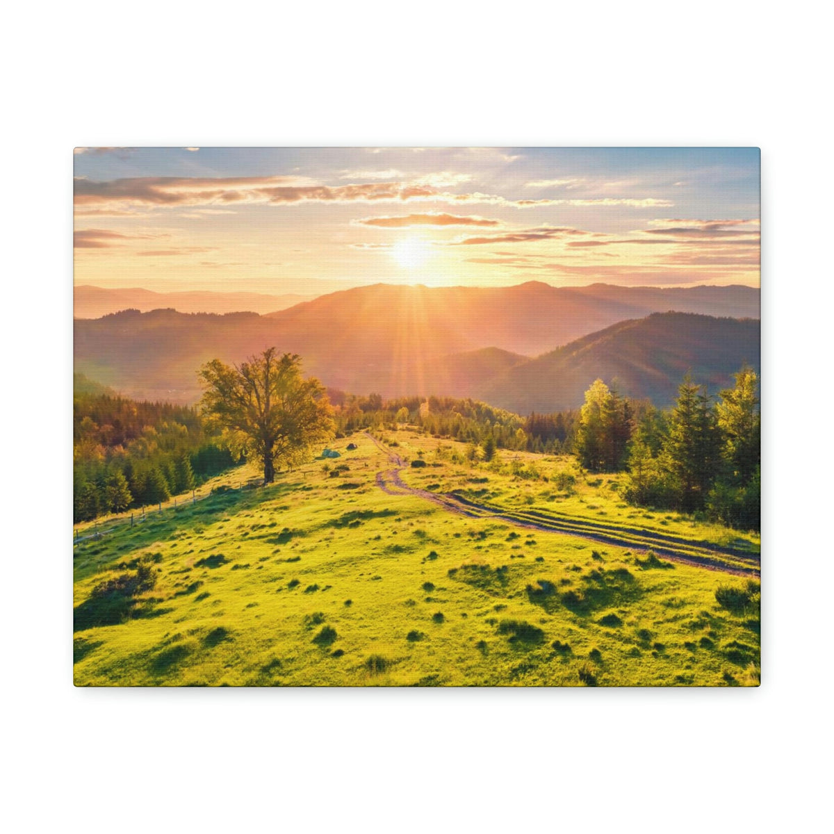Sunrise Mountain Valley Scene Beautiful Fabulous Summer Beauty Nature Scene Carpathian Mountains Wall Art Ready to Hang Unframed-Express Your Love Gifts
