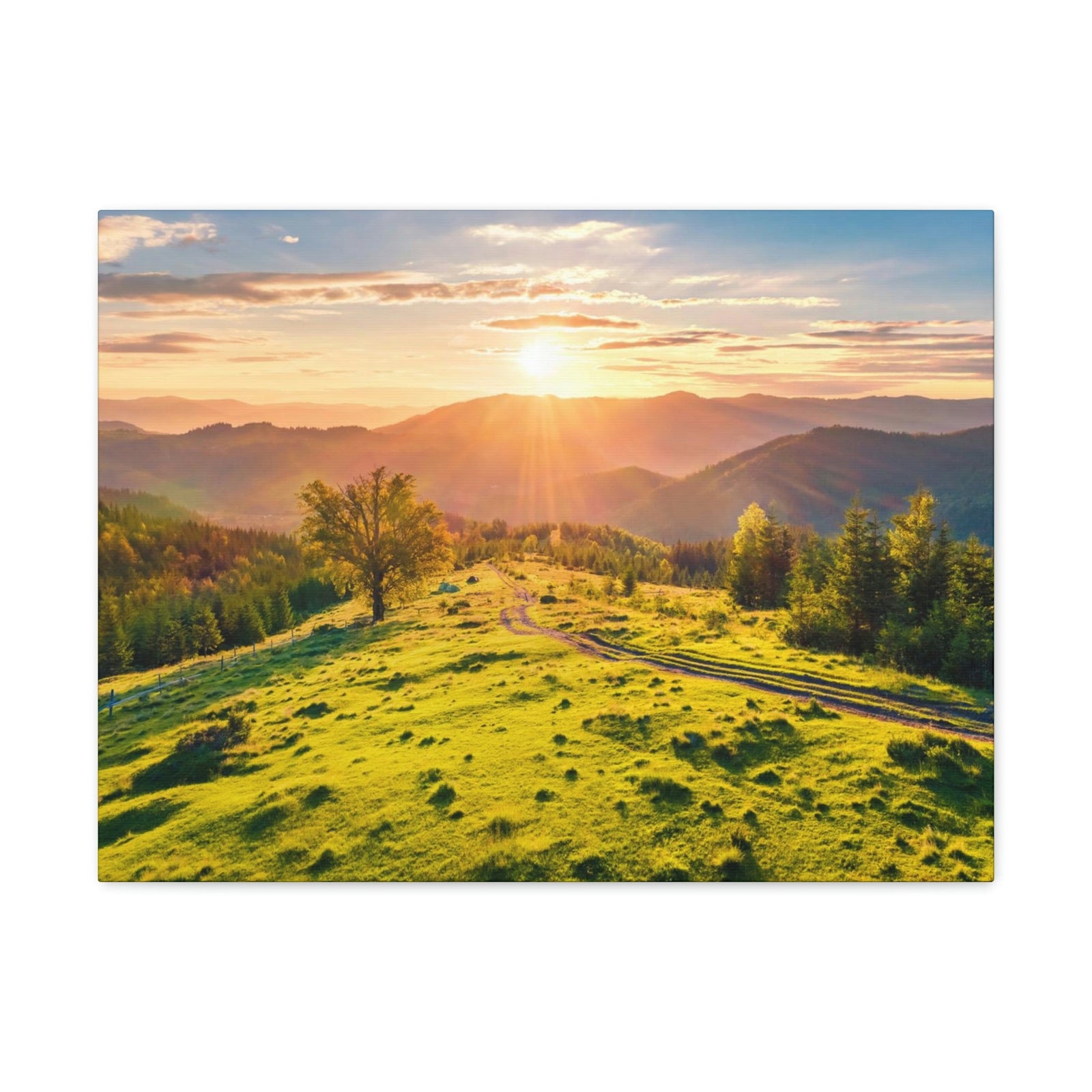 Sunrise Mountain Valley Scene Beautiful Fabulous Summer Beauty Nature Scene Carpathian Mountains Wall Art Ready to Hang Unframed-Express Your Love Gifts