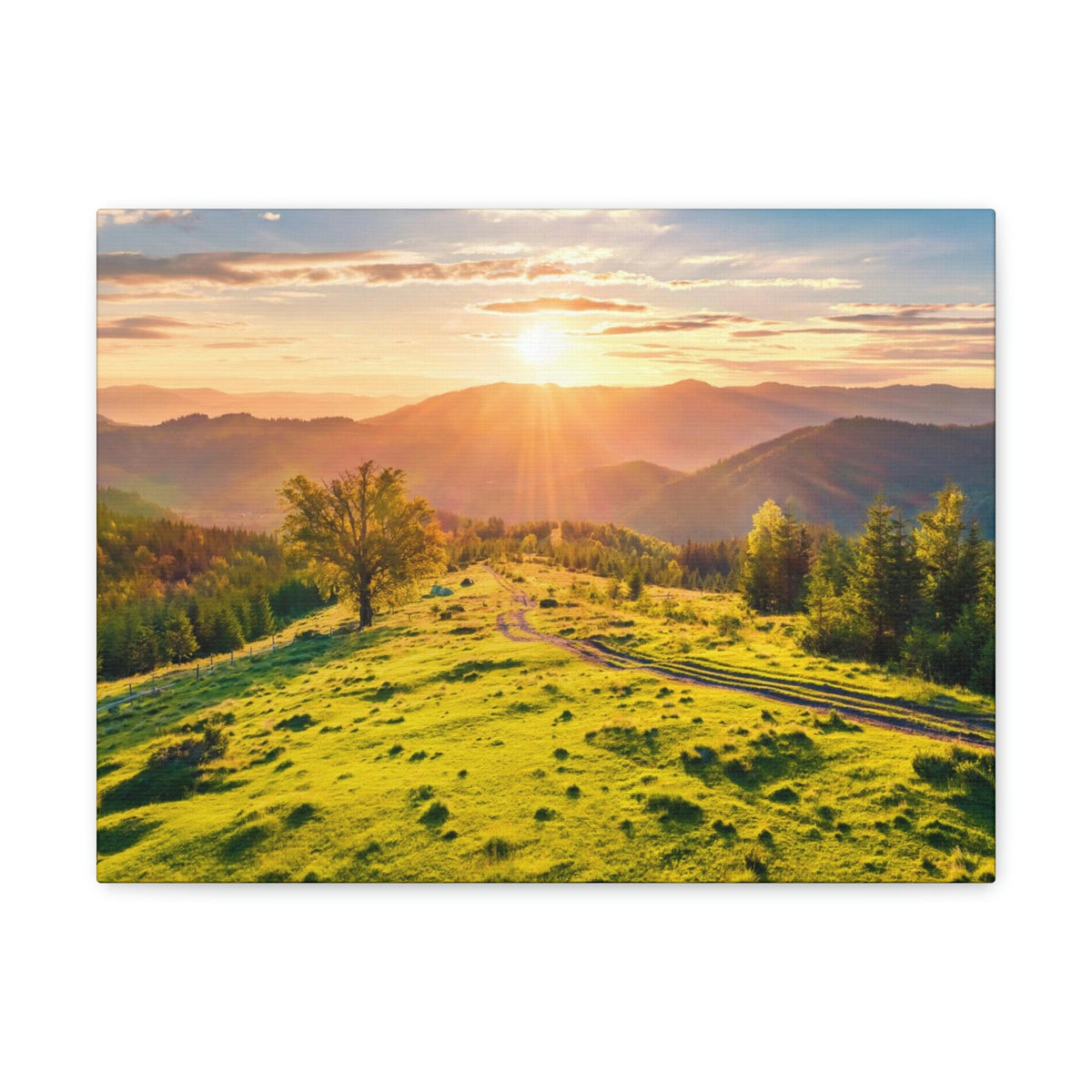 Sunrise Mountain Valley Scene Beautiful Fabulous Summer Beauty Nature Scene Carpathian Mountains Wall Art Ready to Hang Unframed-Express Your Love Gifts