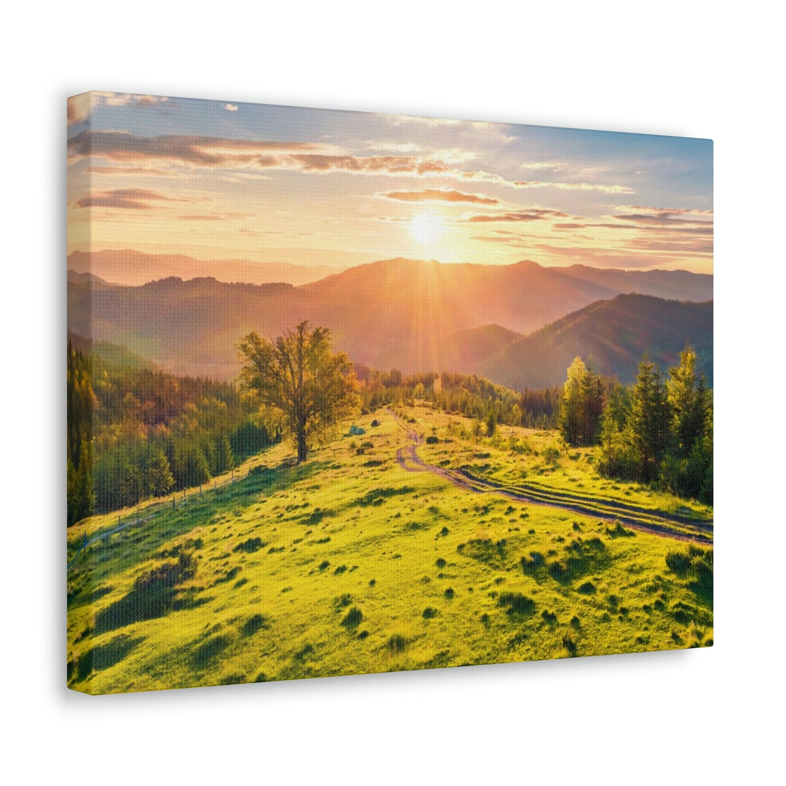 Sunrise Mountain Valley Scene Beautiful Fabulous Summer Beauty Nature Scene Carpathian Mountains Wall Art Ready to Hang Unframed-Express Your Love Gifts