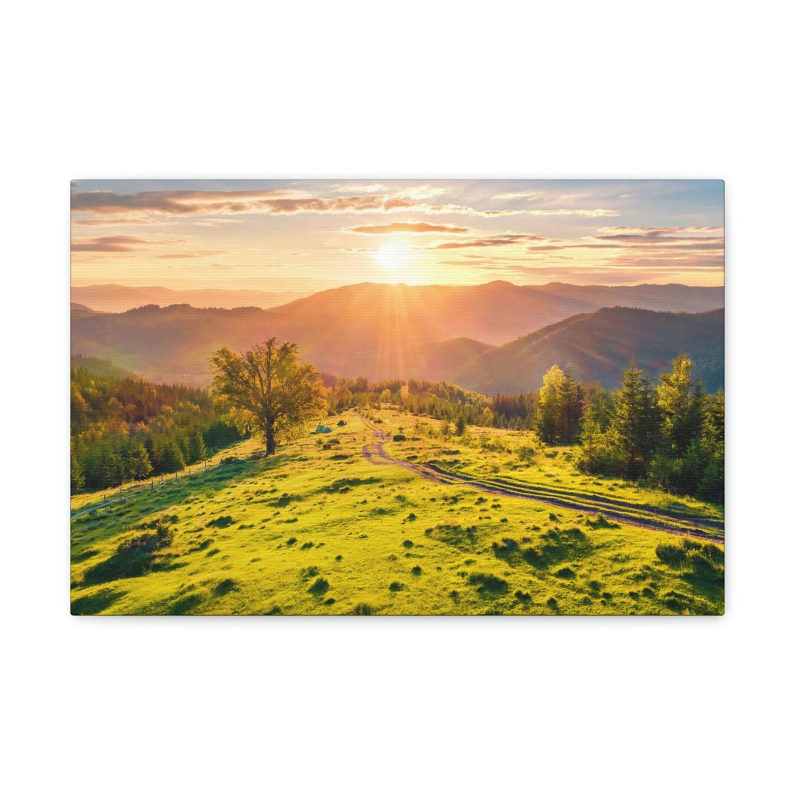Sunrise Mountain Valley Scene Beautiful Fabulous Summer Beauty Nature Scene Carpathian Mountains Wall Art Ready to Hang Unframed-Express Your Love Gifts