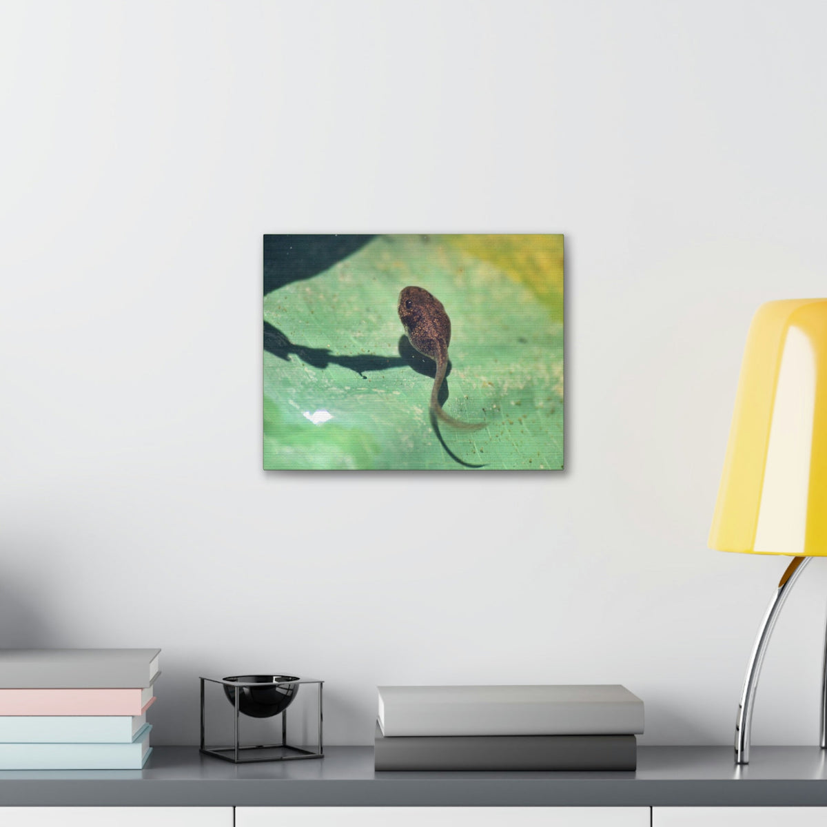 Scripture Walls Tadpole Hunting Tadpole on Hunt Print Animal Wall Art Wildlife Canvas Prints Wall Art Ready to Hang Unframed-Express Your Love Gifts