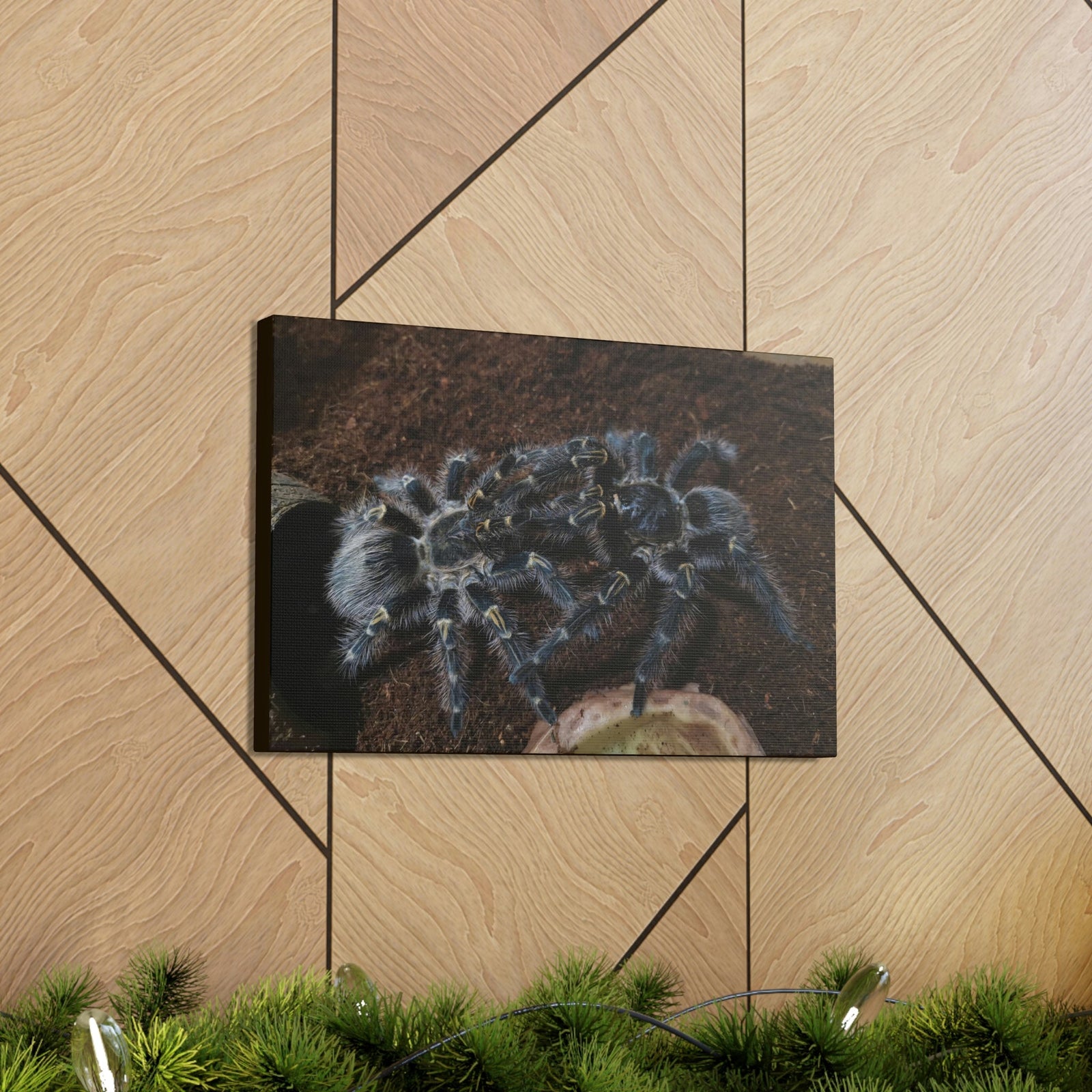 Scripture Walls Tarantula Group Tarantula Troop Print Animal Wall Art Wildlife Canvas Prints Wall Art Ready to Hang Unframed-Express Your Love Gifts