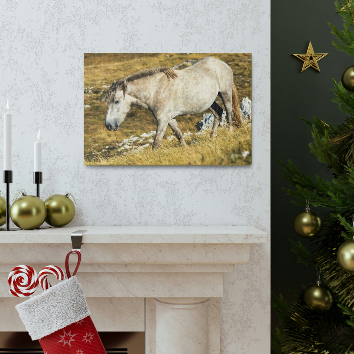 Scripture Walls Tarpan Hunting Tarpan on Hunt Print Animal Wall Art Wildlife Canvas Prints Wall Art Ready to Hang Unframed-Express Your Love Gifts