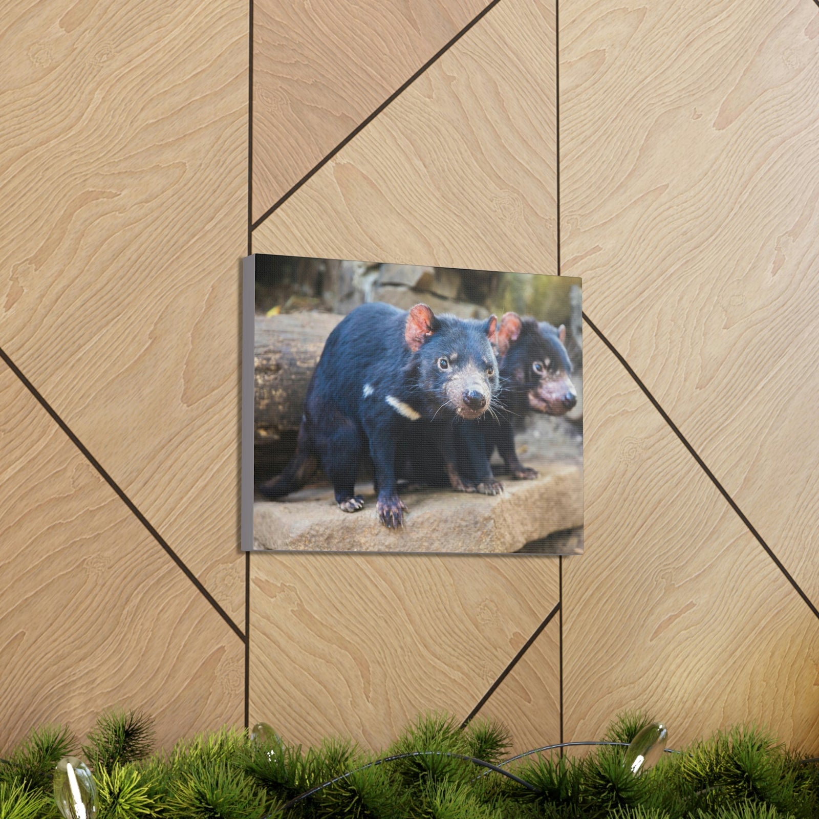 Scripture Walls Tasmanian Devil Couple Tasmanian Devil Couple Print Animal Wall Art Wildlife Canvas Prints Wall Art Ready to Hang Unframed-Express Your Love Gifts