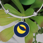 Terra (LUNA) Bracelet Stainless Steel or 18k Gold Circle Bangle-Express Your Love Gifts