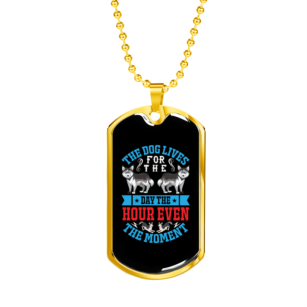 The Dog Lives Blue Necklace Stainless Steel or 18k Gold Dog Tag 24" Chain-Express Your Love Gifts
